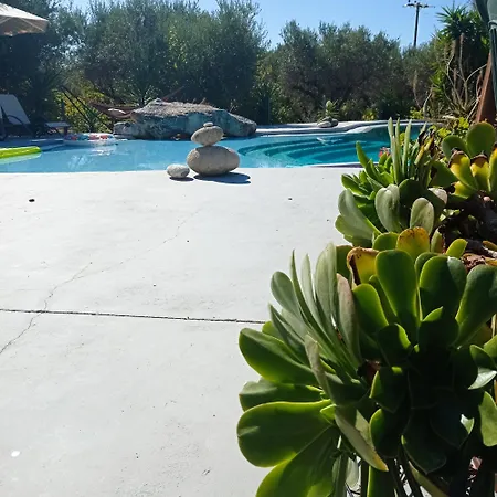 Volidiera 게스트하우스 릭수리