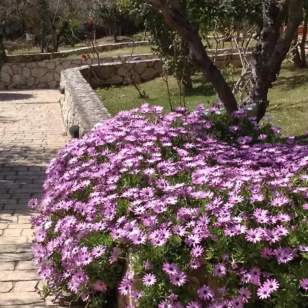 Volidiera Guest house Lixouri