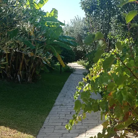 Volidiera 4* Ликсури