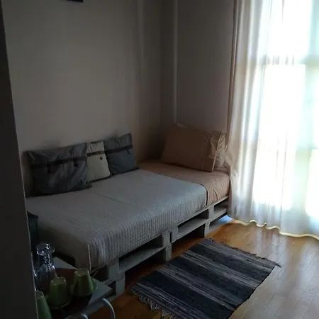 Volidiera *