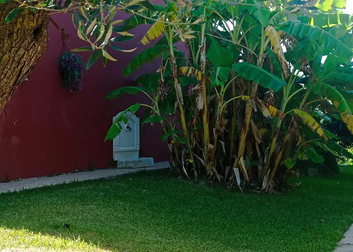 Guest house Volidiera 4*