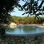 Volidiera