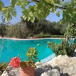 Volidiera