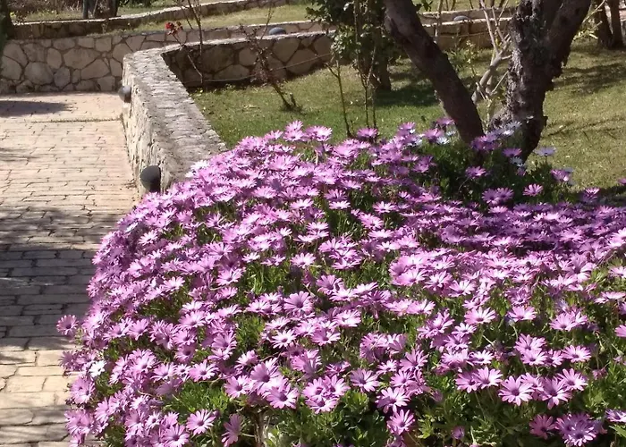 Volidiera Penzion Lixouri